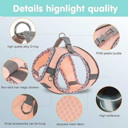 Dog Harness and Leash Set, No Pull Pet Harness for Small Dogs Easy Walking,Soft Breathable Small Dog Harness,Adjustable Reflective Step in Vest Harness for Puppy,Kitten, Cats TomteNisse