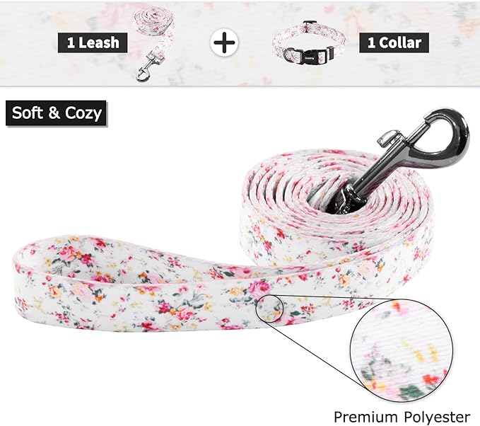Ihoming Puppy Collar and Leash Set for Daily Outdoor Walking Running Training, Floral Sky Design for Extra Small Boys Girls Dogs Cats Pets, XS-Up to 10LBS Ihoming