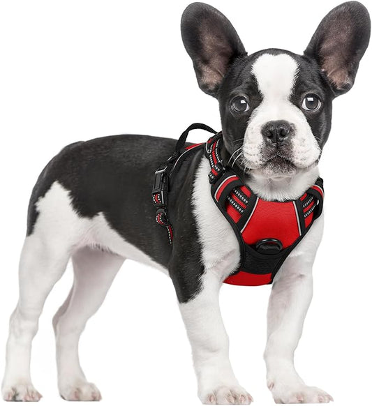 rabbitgoo Dog Harness No Pull with 2 Leash Clips, Adjustable Soft Padded, Reflective Oxford No Choke Pet Vest with Easy Control Handle for Small Dogs, Red, S rabbitgoo