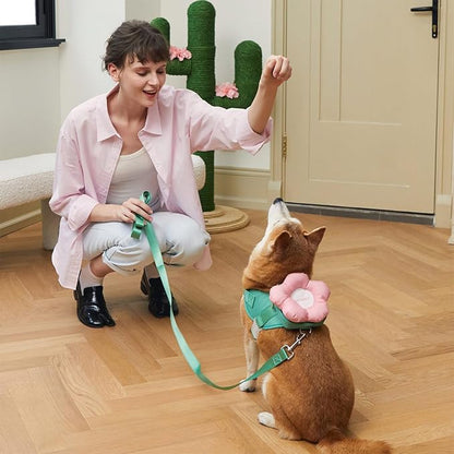 VETRESKA Flora Dog Harness, Leash and Collar Set, No Pull Dog Vest Harness for Walking and Training, Adjustable, Easy Control and Soft Padded Pet Harness and Backpack for Small Medium Large Dogs, XS - PAWPICO