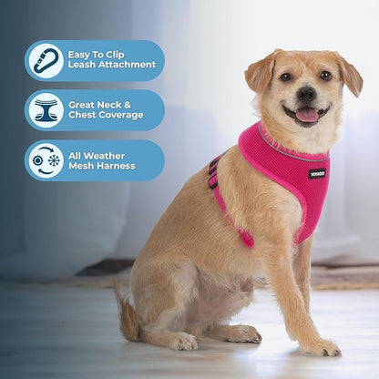 Voyager Aerolite No Pull Mesh Dog Harness with Lightweight, Soft, Breathable, Reflective Stitching, and Adjustable Straps for Walking, Running, Training, Heavy Duty and Durable - Fuchsia, M BestPetSuppliesLLC
