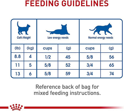 Royal Canin Feline Health Nutrition Dry Indoor Cat Food, Supports Healthy Weight, Digestive Health and Hairball Management, 3 lb Bag - PAWPICO