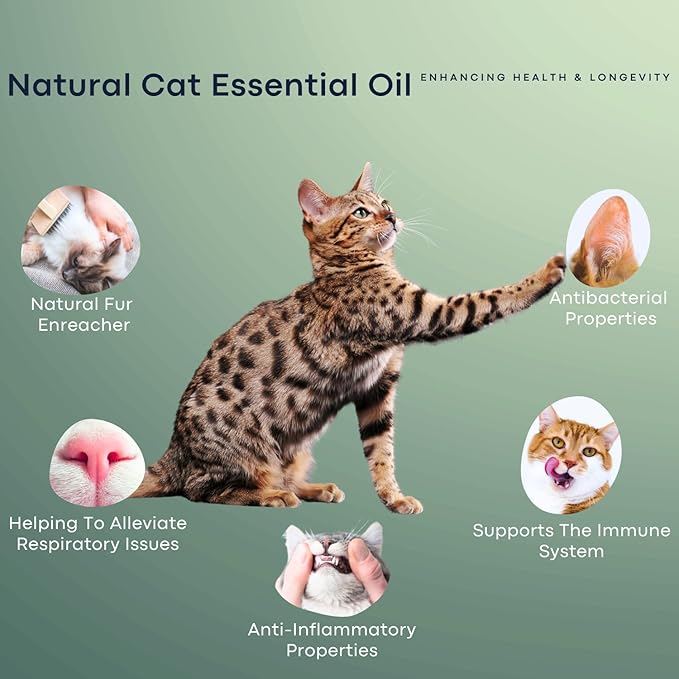 Cat Aggression Relief Calming Collar with Essential Oils, Natural Rock Diffuser, Breakaway Pet-Safe Collar for Cat Anxiety Felief, Vet-Approved (Myrrh) ROLLERPAWSTER