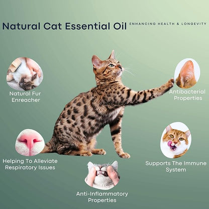 Cat Aggression Relief Calming Collar with Essential Oils, Natural Rock Diffuser, Breakaway Pet-Safe Collar for Cat Anxiety Felief, Vet-Approved (Myrrh) ROLLERPAWSTER