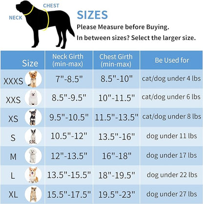 AIITLE Comfortable Dog Harness and Leash Set for Walking - Spring Step in Vest Harness,Reflective Bands, Adjustable No Pull Puppy Essentials, for Small Dogs and House Cats Orange XS AIITLE-FORPETSBETTERLIFE