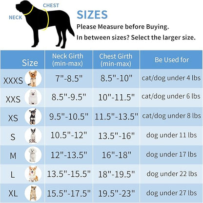 AIITLE Small Harness for Puppy with A Leash - Spring Dog Vest Harness with Super Breathable Mesh, Reflective No-Pull Pet Harness for Outdoor Walking, Camping for Small Dogs, Cats Royal Blue XXS AIITLE-FORPETSBETTERLIFE