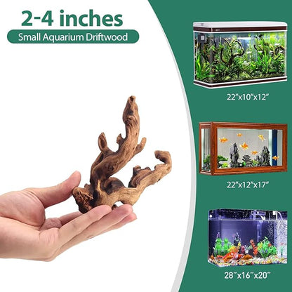 WDEFUN Natural Driftwood for Aquarium Decor, 10-Piece 2''-5'' Small Driftwood for Decorations on Fish Tank, Reptiles Bearded Dragon Accessories or Air Plants WDEFUN