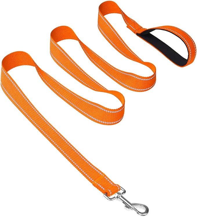 Joytale Double-Sided Reflective Dog Leash, 6 FT/5 FT/4 FT, Padded Handle Nylon Heavy Duty Leashes for Medium & Large Dogs Walking, Orange, 6FT Joytale