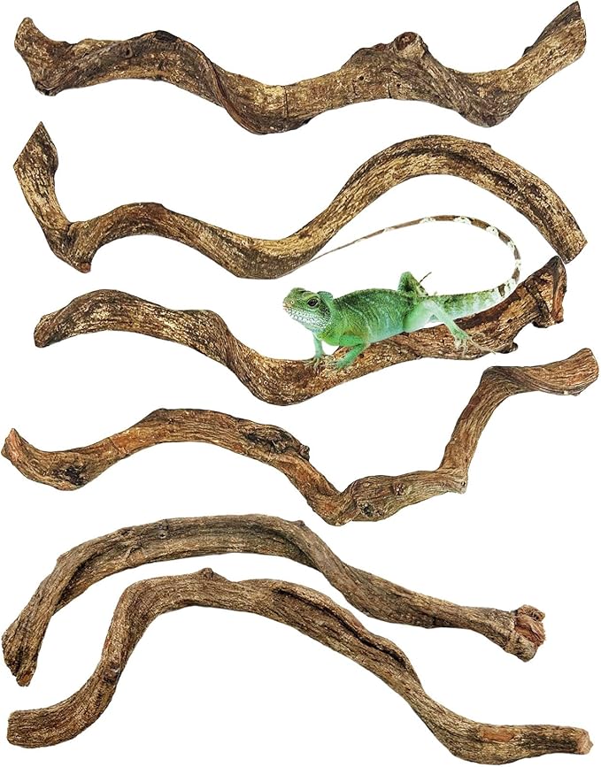Reptile Branch Decor Snake Climbing Wood Branches Lizard Habitat Decorations Terrarium Natural Forest Tree Trunk Ornament for Bearded Dragon Geckos Chameleon Frog 6 Pcs - S Apatal