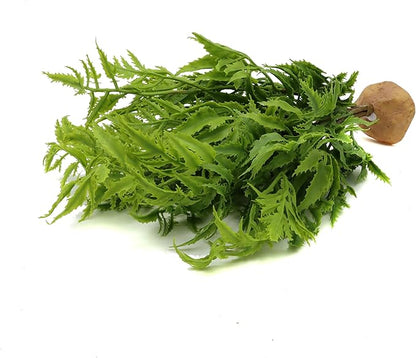 JIHAQUA Lifelike Reptile Tank Plant Decor - Realistic Artificial Plastic Plant for Terrariums and Pet Enclosures (Style C) JIHAQUA