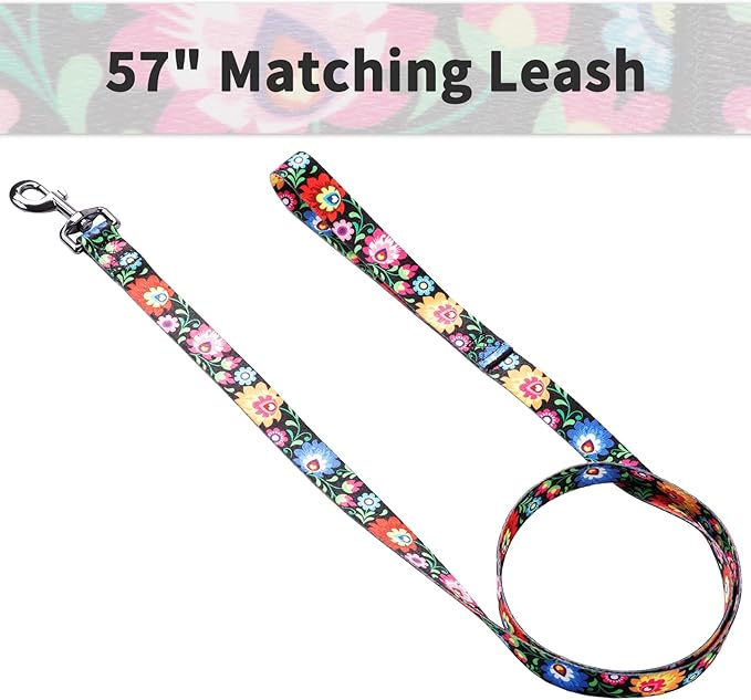 Ihoming Dog Collar and Leash Set for Daily Outdoor Walking Running Training, Black Colorful Flowers Design for Medium Boys Girls Dogs Cats Pets, M-Up to 45LBS Ihoming