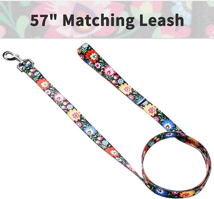 Ihoming Dog Collar and Leash Set for Daily Outdoor Walking Running Training, Black Colorful Flowers Design for Medium Boys Girls Dogs Cats Pets, M-Up to 45LBS Ihoming
