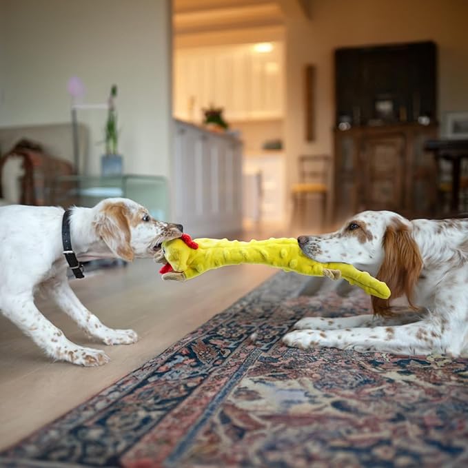 SHARLOVY Dog Squeaky Toys -Chicken Crinkle Dog Toy, Bubble Plush Pet Toys Puppy Teething Toys No Stuffing Animals Dog Toy Doggies Toys Dog Chew Toy for Medium Dogs - PAWPICO