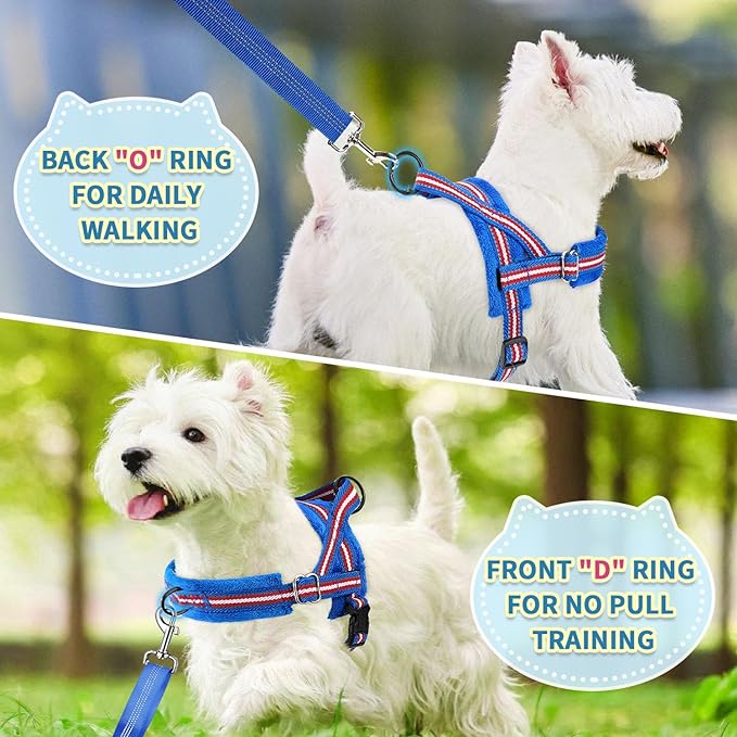 SlowTon No Pull Small Dog Harness and Leash Set, Puppy Soft Vest Harness Neck & Chest Adjustable, Reflective Lightweight Harness & Anti-Twist Pet Lead Combo for Small Medium Dogs (DB-Front Clip, XXS) SlowTon