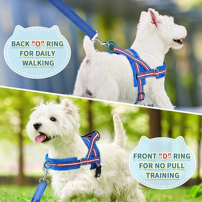 SlowTon No Pull Small Dog Harness and Leash Set, Puppy Soft Vest Harness Neck & Chest Adjustable, Reflective Lightweight Harness & Anti-Twist Pet Lead Combo for Small Medium Dogs (DB-Front Clip, XXS) SlowTon