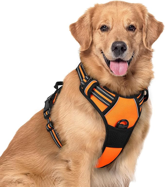 rabbitgoo Dog Harness No Pull with 2 Leash Clips, Adjustable Soft Padded, Reflective Oxford No Choke Pet Vest with Easy Control Handle for Large Dogs, Orange, XL rabbitgoo
