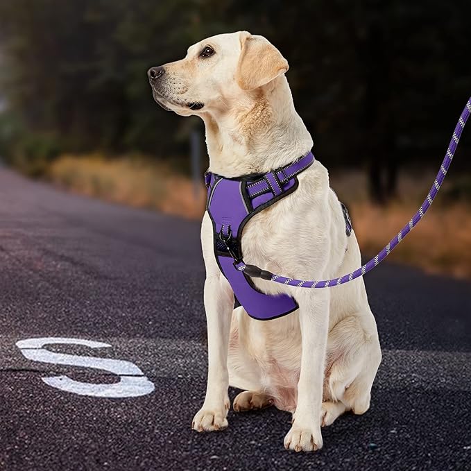 IVY&LANE No Pull Dog Harness for Large Dogs, Dog Vest Harness with Leash, Safety Belt and Storage Strap, Fully Adjustable Harness, 360° Reflective Strip, Soft Handle (Purple, XL) IVYLANE