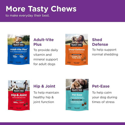 Nutri-Vet Pre and Probiotic Soft Chews for Dogs | Digestive Health Support | Tasty Alternative to Probiotic Powder | 120 Soft Chews Nutri-Vet