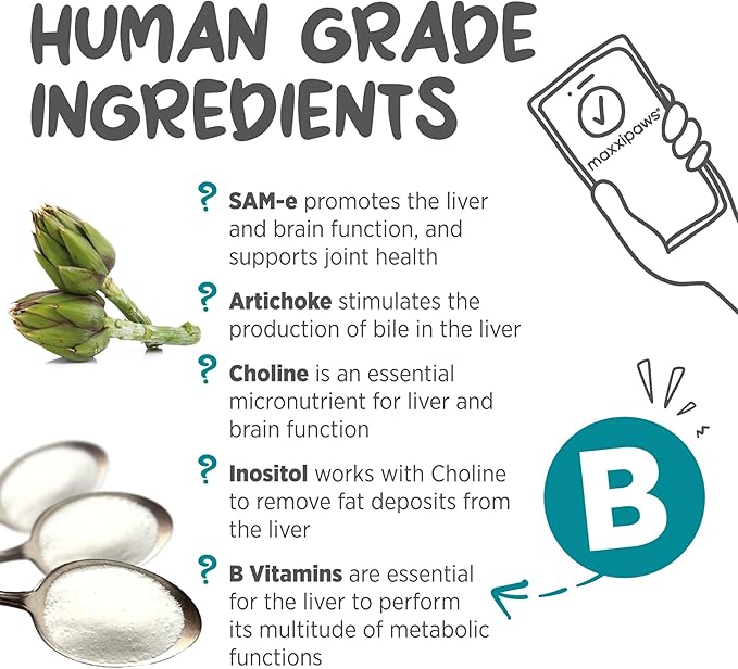 maxxiSAMe Advanced SAM-e Powder Supplement - Liver, Cognitive & Joint Support for Cats, 3.2oz maxxipaws