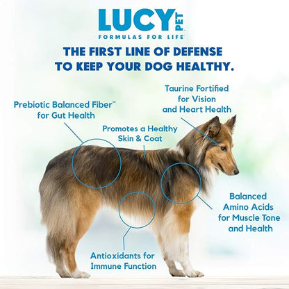 Lucy Pet Formulas for Life Salmon, Pumpkin, & Quinoa Dry Dog Food, All Life Stages, Digestive Health, Sensitive Stomach & Skin, 4.5lb bag - PAWPICO