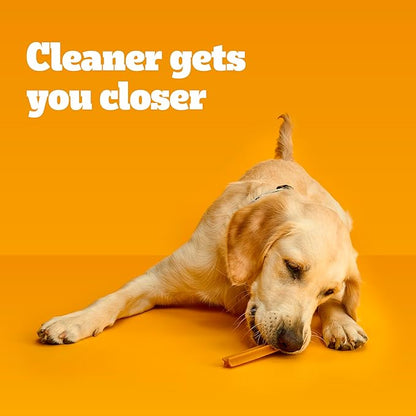 PEDIGREE DENTASTIX Large Dog Dental Care Treats Original, Beef & Fresh Variety Pack, 2.73 lb.Pack (51 Treats) - PAWPICO