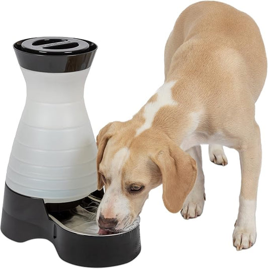 PetSafe Healthy Pet Water Station - Medium, 128 oz Capacity - Gravity Pet Water Fountain, Automatic Cat Water Fountain, Dog Water Fountain, Water Dispenser - Removable Stainless Steel Bowl Included - PAWPICO