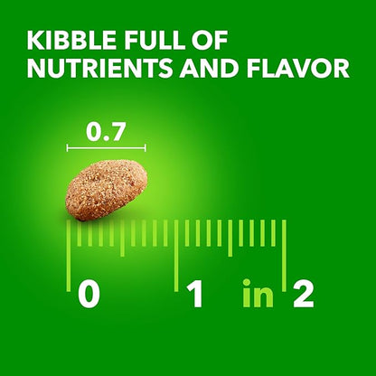 IAMS Proactive Health Healthy Aging Large Breed Dry Senior Dog Food Real Chicken, 15 lb. Bag - PAWPICO