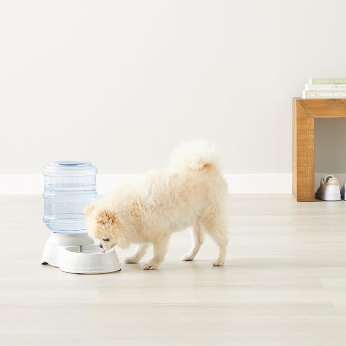 Amazon Basics Gravity Pet Water Dispenser for Cat, Dog, 1 Gallon Capacity, Gray - PAWPICO