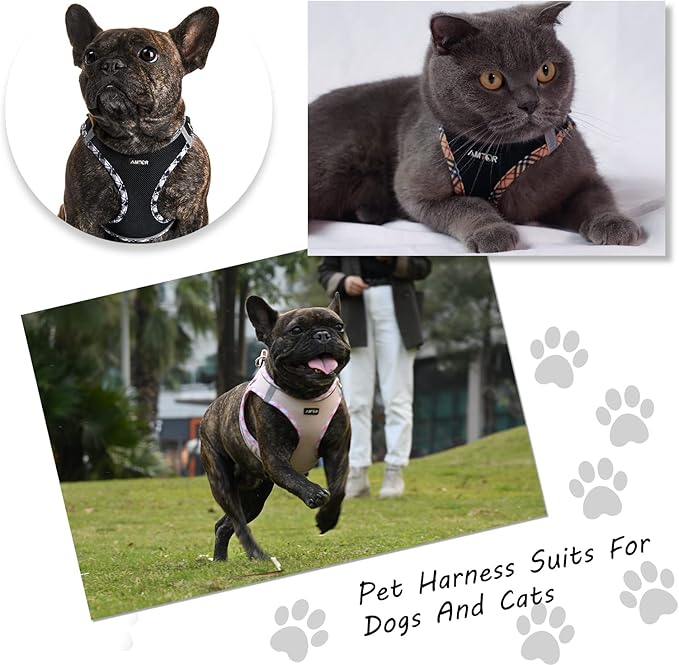 AMTOR Small Dog Harness with Leash Set, No Escape Easy Walk Puppy Harnesses for Training Walking, Step-in Reflective Soft Dogs Vest for XS S Medium Extra-Small Large Sized Dog(Pink,M) - PAWPICO