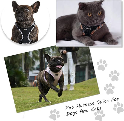 AMTOR Small Dog Harness with Leash Set, No Escape Easy Walk Puppy Harnesses for Training Walking, Step-in Reflective Soft Dogs Vest for XS S Medium Extra-Small Large Sized Dog(Pink,M) - PAWPICO