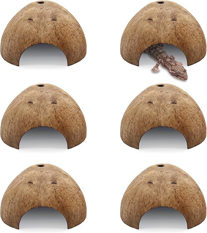 PINVNBY 6 PCS Natural Coconut Reptile Hideouts Lizard Coco Hut Hermit Crab Hut Aquarium Fish Hide Cave Spider Snail Climber Toys PINVNBY