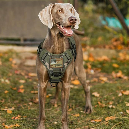 rabbitgoo Tactical Dog Harness for Small, Heavy Duty Pet Harness with Handle, No-Pull Service Vest Small Breed, Adjustable Military Dog Vest for Training Hunting Walking, Green Camo, S rabbitgoo