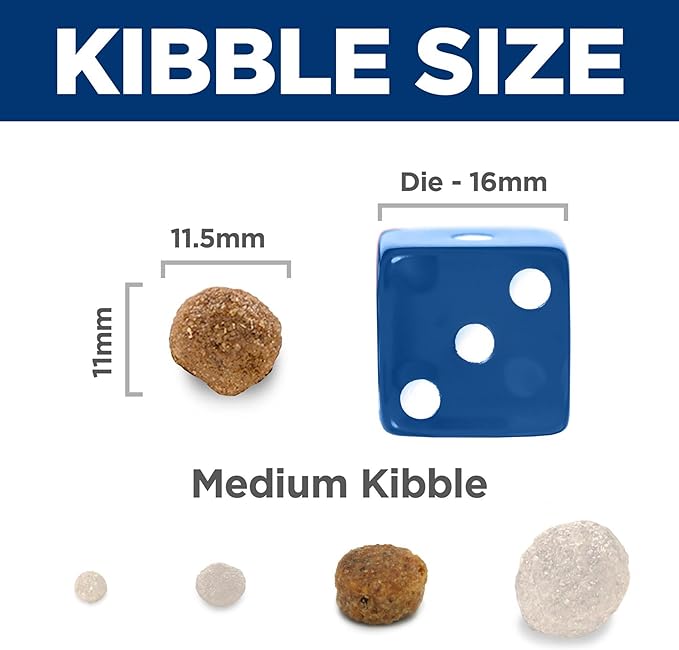 Hill's Science Diet Adult 1-6, Adult 1-6 Premium Nutrition, Dry Dog Food, Lamb & Brown Rice, 33 lb Bag - PAWPICO