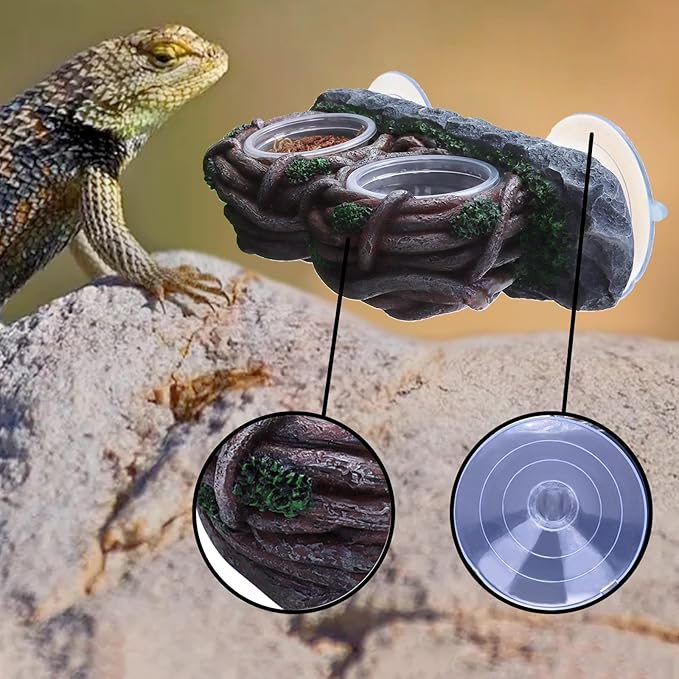 AIICIOO Crested Gecko Feeding Ledge Double Bowl Reptile Vine Food Ledge with 4 PCS Cup Corner Water Bowl for Lizard Snake Bearded Dragon Frog Turtle Terrarium Tank Decor AIICIOO