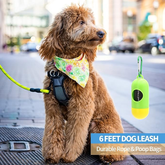 BAAPET 2/4/5/6 FT Dog Leash with Comfortable Padded Handle and Highly Reflective Threads for Small Medium and Large Dogs (6FT-1/2'', Green) BAAPET