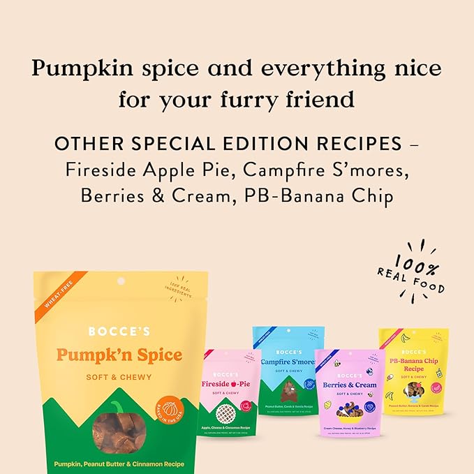 Bocce’s Bakery Pumpk'n Spice Treats for Dogs, Wheat-Free Everyday Dog Treats, Made with Real Ingredients, Baked in The USA, All-Natural Soft & Chewy Cookies, Pumpkin, Peanut Butter, & Cinnamon, 6 oz - PAWPICO