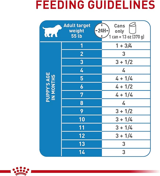 Royal Canin Size Health Nutrition Large Puppy Thin Slices in Gravy Wet Dog Food, 13 Oz Can (6-Pack) - PAWPICO