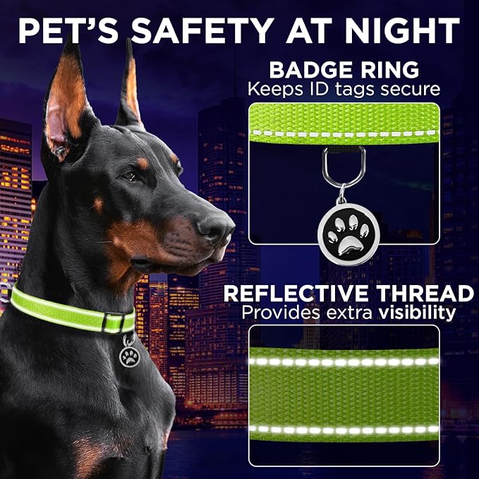 TECEUM Reflective Pet Collar – Acid Green – XS – Basic Nylon Dog Collar – Quick Release Buckle – Fits Small, Medium and Large Dogs, Puppies, Cats – ESA & Service Dog Options TECEUM