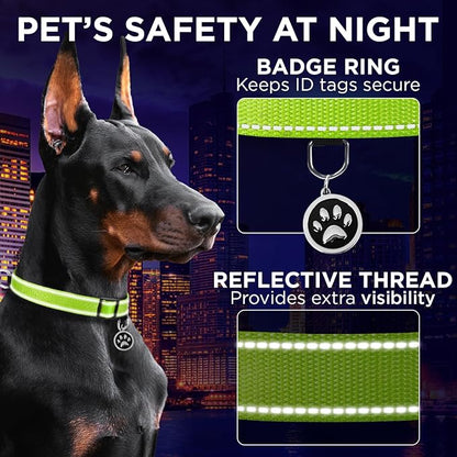 TECEUM Reflective Pet Collar – Acid Green – XS – Basic Nylon Dog Collar – Quick Release Buckle – Fits Small, Medium and Large Dogs, Puppies, Cats – ESA & Service Dog Options TECEUM