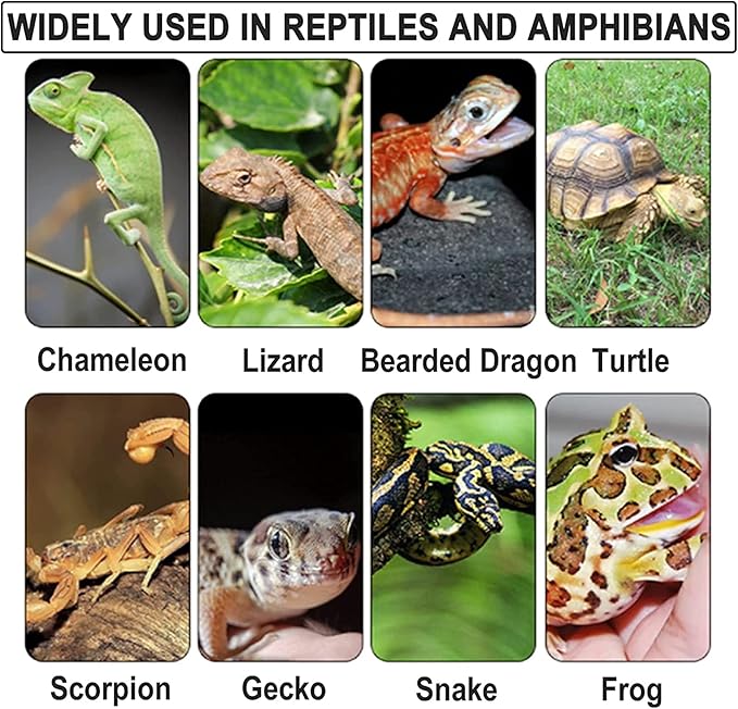 Reptile Basking Platform 2Pcs 11.8'' Large Tortoise Rock Plate Slate Feeding Platform Food Dish Bowl Turtle Bathing Rock Rest Terrace for Chameleon Lizard Bearded Dragon Gecko Snake Frog Newt (30CM) Tfwadmx