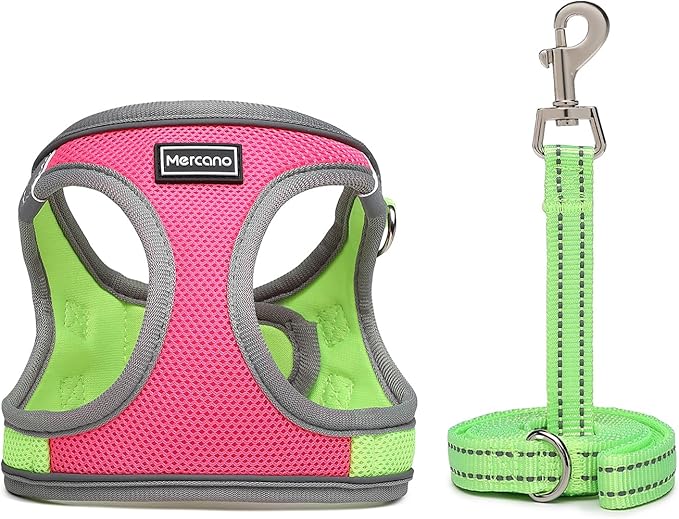 Mercano Soft Mesh Dog Harness and Leash Set, No-Chock Step-in Reflective Breathable Lightweight Easy Walk Escape Proof Vest Harnesses with Safety Buckle for Small Medium Dogs, Cats (S, Hot Pink) PAWPICO