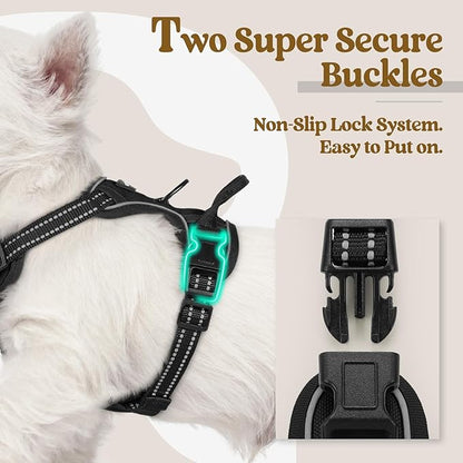 rabbitgoo Dog Harness No Pull with 2 Leash Clips, Adjustable Soft Padded, Reflective Oxford No Choke Pet Vest with Easy Control Handle for Puppy, Black, XS rabbitgoo