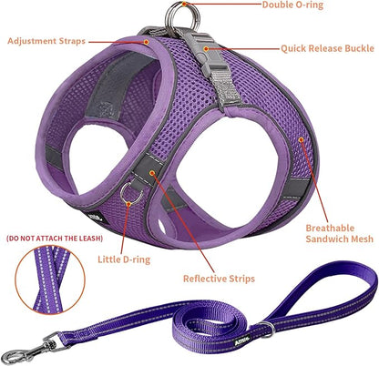 AIITLE Dog Harness, Spring No-Pull Cat Harness with a Leash, Adjustable Reflective Dog Vest, Cat Harness Escape Proof, Outdoor Walking, Camping for Extra Small Dogs and House Cats Pure Purple XXXS AIITLE-FORPETSBETTERLIFE