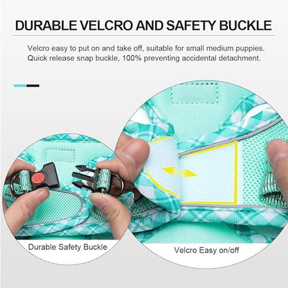 Mercano Soft Mesh Dog Harness and Leash Set, No-Chock Step-in Reflective Breathable Lightweight Easy Walk Escape Proof Vest Harnesses with Safety Buckle for Small Medium Dogs, Cats (Light Green, XL) PAWPICO