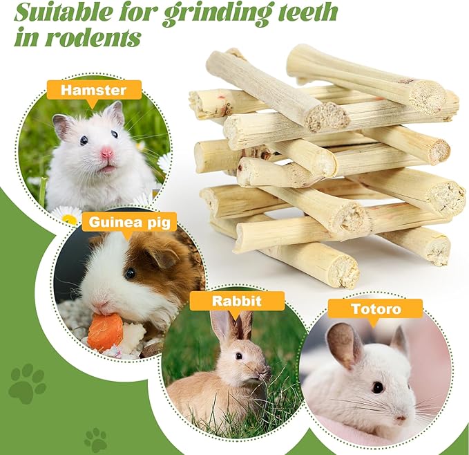800g/1.76lb Sweet Bamboo Sticks for Rabbits Bunny Chew Toys Molar Treats Snack for Small Animals Hamsters Chinchillas Guinea Pigs Heylcm