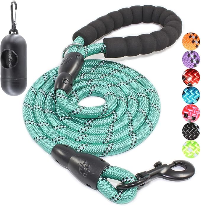 BAAPET 2/4/5/6 FT Dog Leash with Comfortable Padded Handle and Highly Reflective Threads for Small Medium and Large Dogs (6FT-1/2'', Turquoise) BAAPET