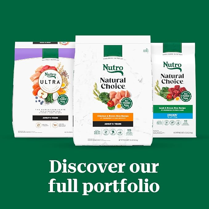 Nutro Natural Choice Adult Healthy Weight Dry Dog Food, Chicken and Brown Rice, 30 lbs. - PAWPICO