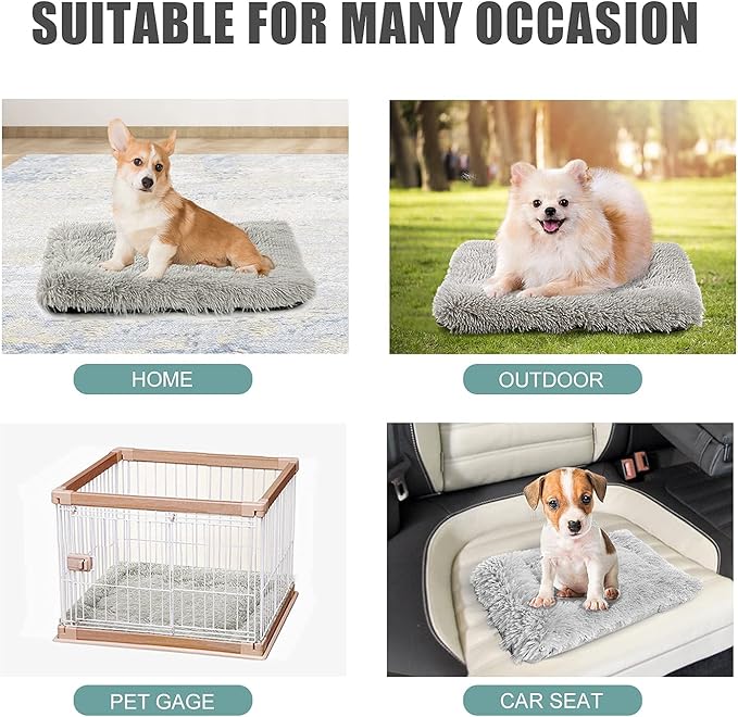 Cat Bed Small Dog Bed 24''X20'' Self Warming Cat Bed Self Heating Cat Pad Extra Warm Thermal Kitten Beds for Indoor Outdoor Kittens Small Pets (Black) - PAWPICO