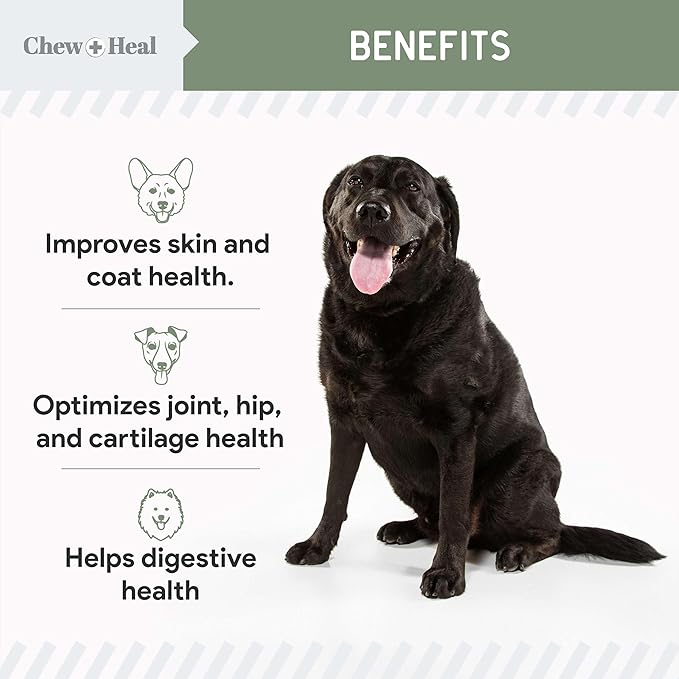 Chew + Heal All in 1 Dog Vitamin - 120 Soft Chew Treats - Chewable Multivitamin with Probiotics, Digestive Enzymes, for Skin and Coat, Hip and Joint Support - with Omega, Calcium - Made in The USA ChewHeal