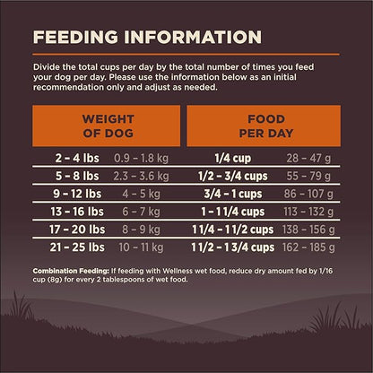 Wellness Natural Pet Food CORE Grain-Free High-Protein Small Breed Dry Dog Food, Natural Ingredients, Made in USA with Real Meat (Adult, Turkey, 4-Pound Bag) - PAWPICO